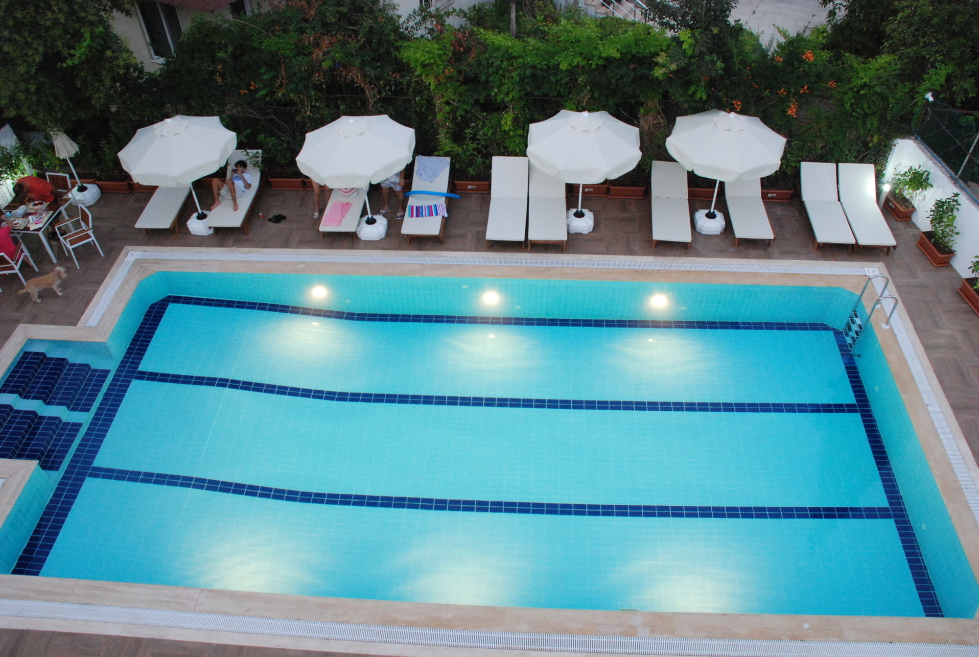 Elegance Hotel Kemer Exteriör bild